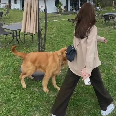 中国婚礼 好事成双季